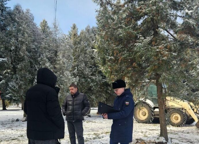Жители Донского провели собрание у братской могилы, где были спилены туи