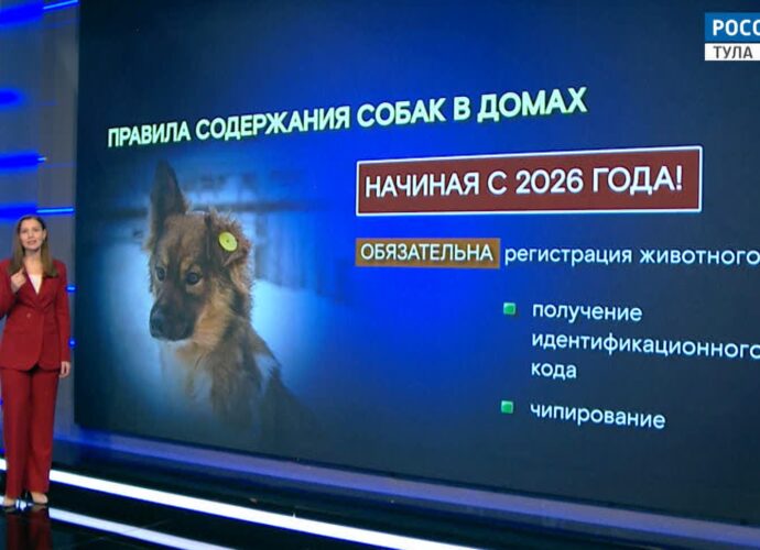 Алгоритм: содержание собак