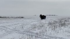 В селе Монастырщино состоялся фестиваль «#АртЗима на Куликовом поле»