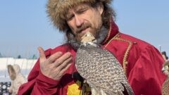 23 февраля на Куликовом поле. Фоторепортаж