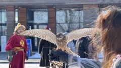 23 февраля на Куликовом поле. Фоторепортаж