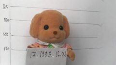 В Богородицке из магазина своровали игровые наборы Sylvanian Families и GooJitZu