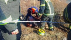 В Ефремовском районе рыболов провалился под лёд