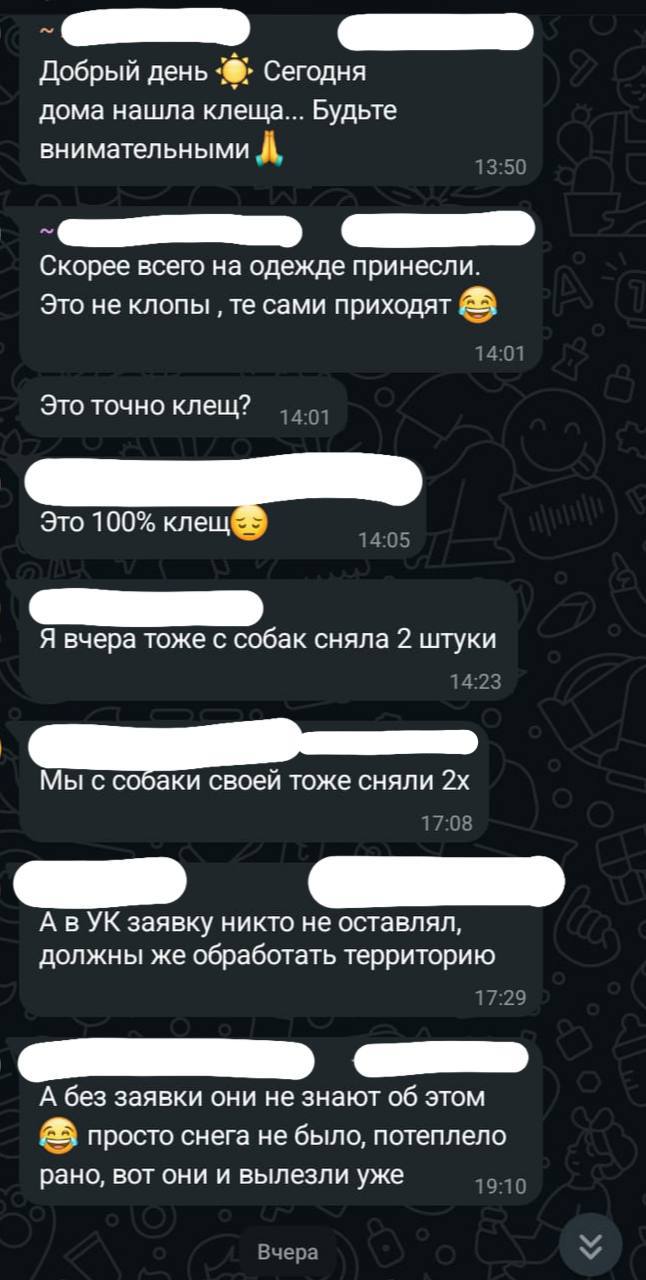 Клещи в Туле. Как защитить собак