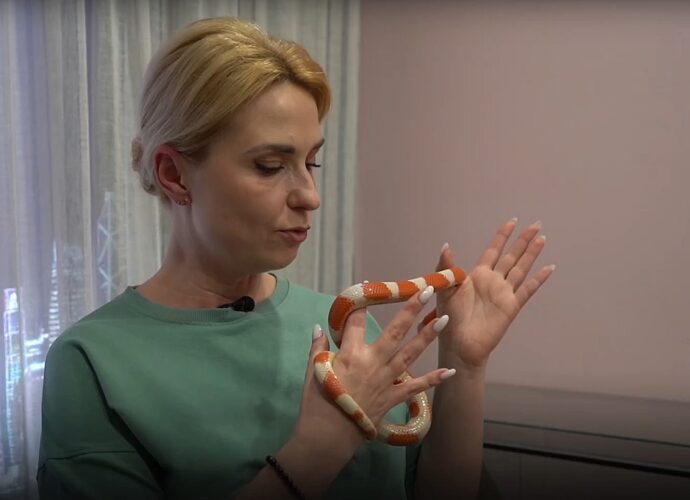 Ведущая ГТРК «Тула» рассказала о содержании экзотической молочной змеи