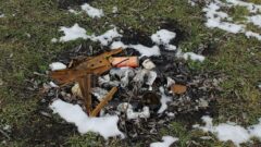В Ефремовском районе отдыхающие замусорили памятник природы