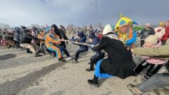 Масленица на Куликовом поле собрала 4500 гостей