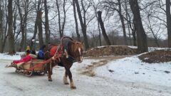 На ходулях и лошадках: в Ясной Поляне семьям рассказали о старинных традициях