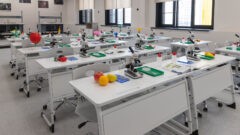Запись в школу в ЖК «Новая Голландия» откроется 1 апреля