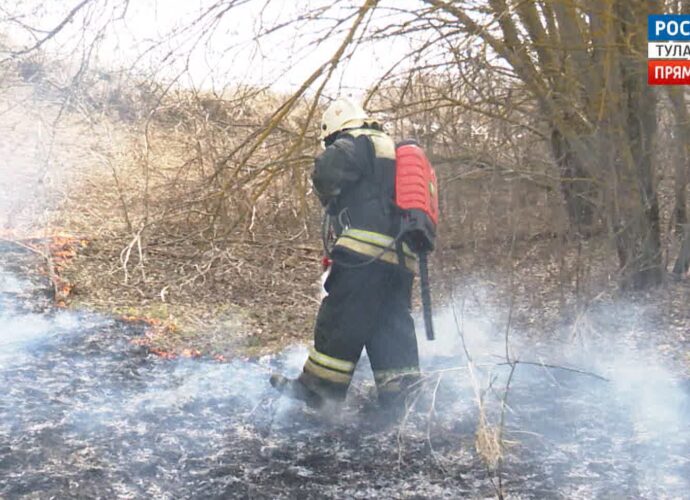 В Тульской области произошло уже более 1100 случаев возгорания сухой травы