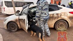 В посёлке Плеханово силовики проводят рейды