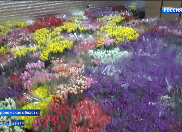 Вести Центр. Эфир от 2.03.2025