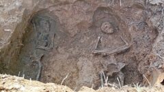 В Белёвском районе поисковики обнаружили останки красноармейцев В Белёвском районе поисковики обнаружили останки красноармейцев