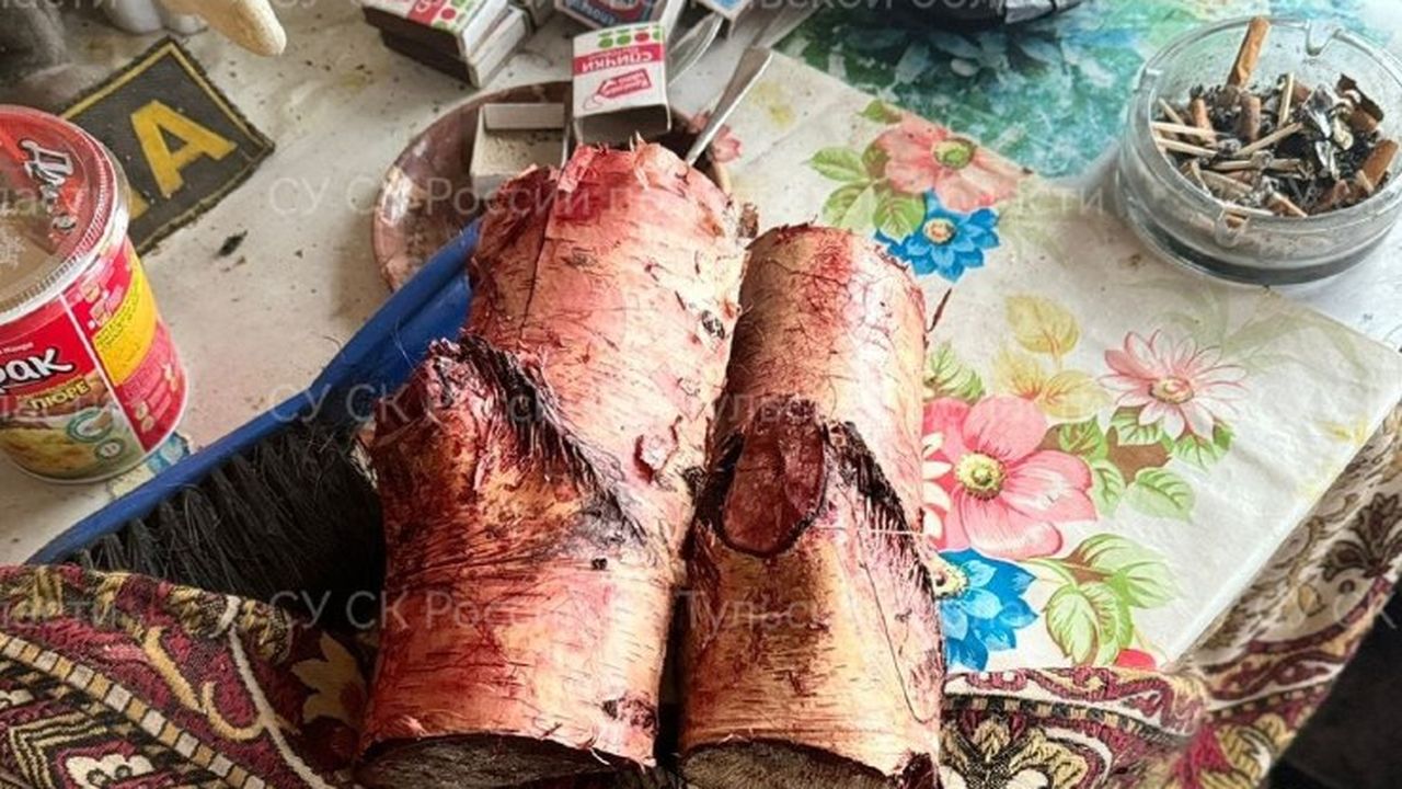 Мужчина из Богородицка, забивший сожительницу бревном, признал свою вину