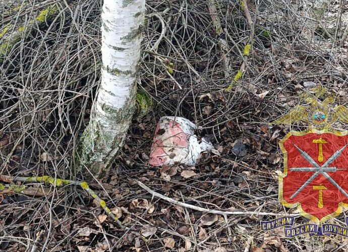 В Одоевском районе полицейские задержали крупного закладчика