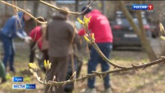 Городские власти провели уборку в Туле
