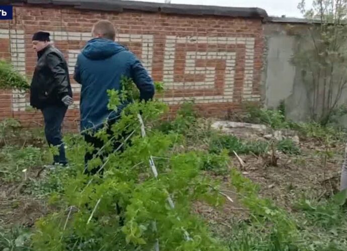 Месячник чистоты прошел в Тульской области