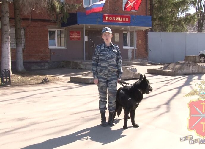 Тульские полицейские рассказали о подвиге Алексея Рогова
