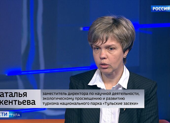 На территории национального парка «Тульские засеки» обитают одиночные пчелы