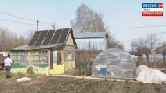 Эфир от 19.05.2025 (17:30) Россия 24