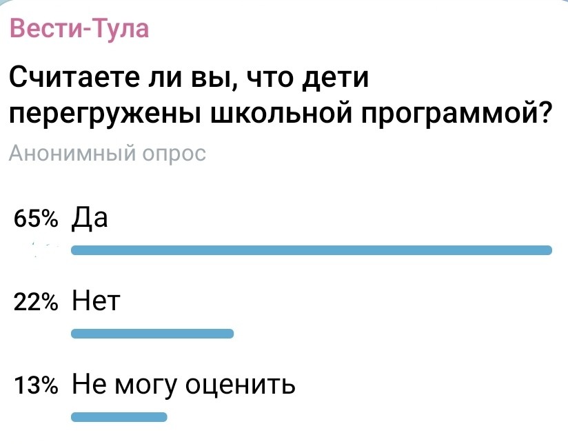 ВЦИОМ: Большинство родителей школьников считают, что дети перегружены