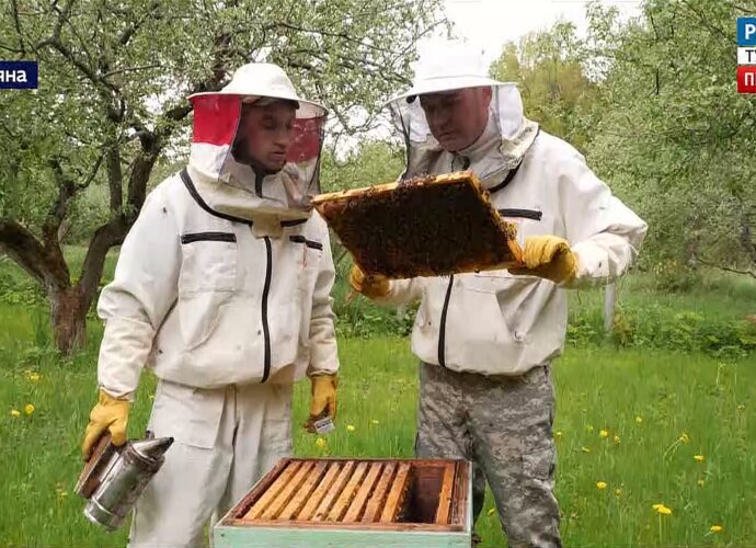 Мёд со вкусом литературы. Яснополянские пчеловоды ждут июльский сбор