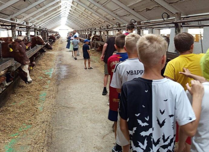 В Тульской области отдохнули 29 ребят из ЛНР