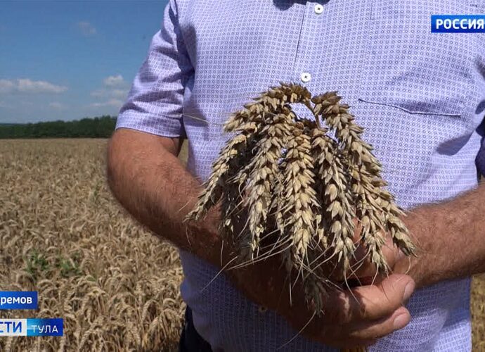Первые результаты уборочной кампании порадовали тульских аграриев