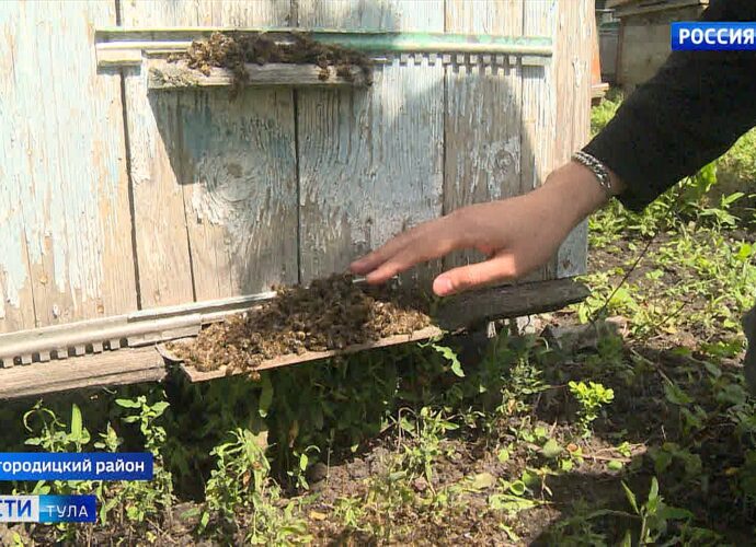 Ефремовская межрайонная прокуратура проверила компании ООО «Междуречье Агро» и ООО «Родина» на соблюдение требований по размещению данных о пестицидах в Федеральной государственной информационной системе (ФГИС «Сатурн»).