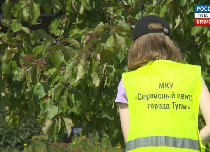 За полгода в Тульской области удалось временно трудоустроить 6000 подростков