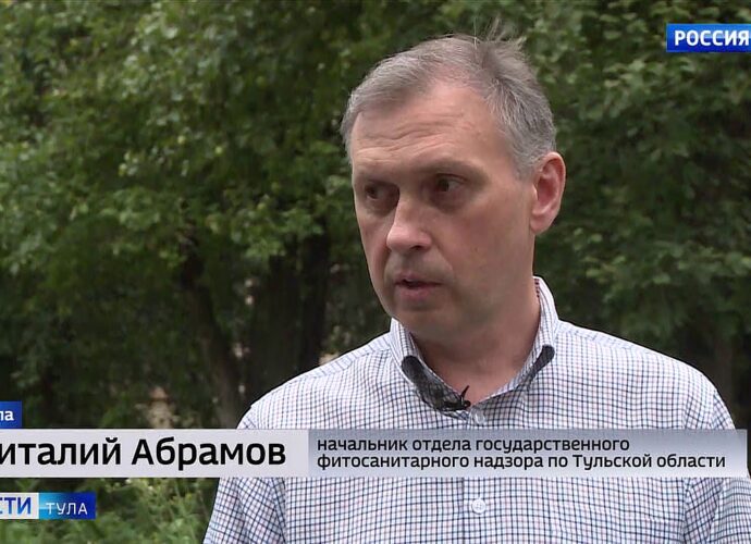 В Тульской области введён карантин по трём вредителям леса