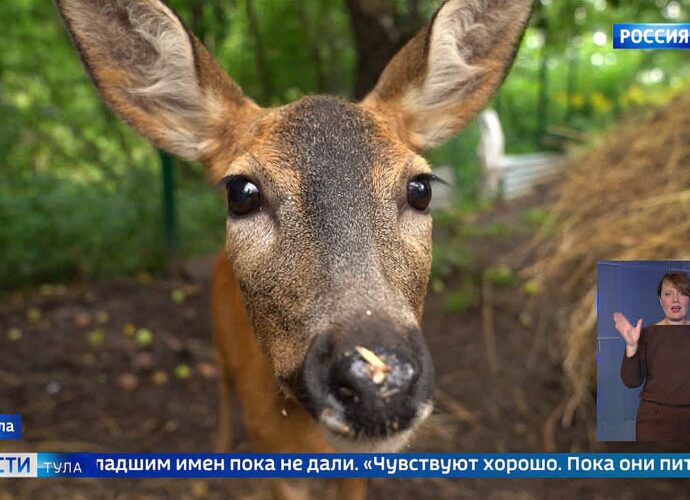 События недели. Эфир от 17.08.2025 Россия 1 События недели. Эфир от 17.08.2025 Россия 1