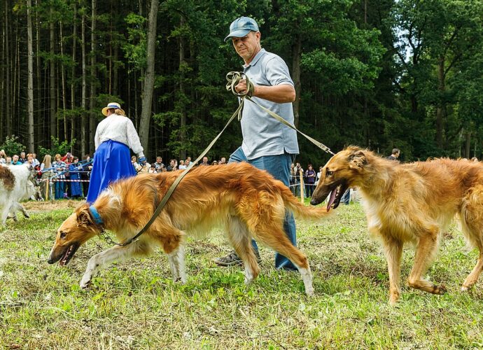 В Ясной Поляне в третий раз прошел фестиваль «Охота как искусство»