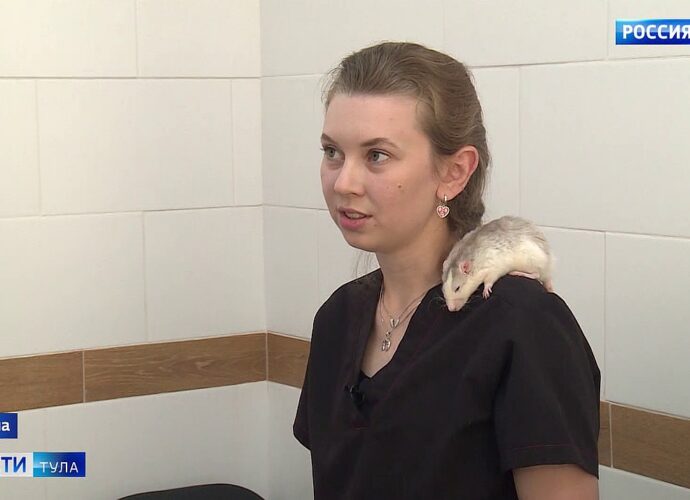 Ветеринар Диана Мамедова: Любое животное должно отсидеть карантин