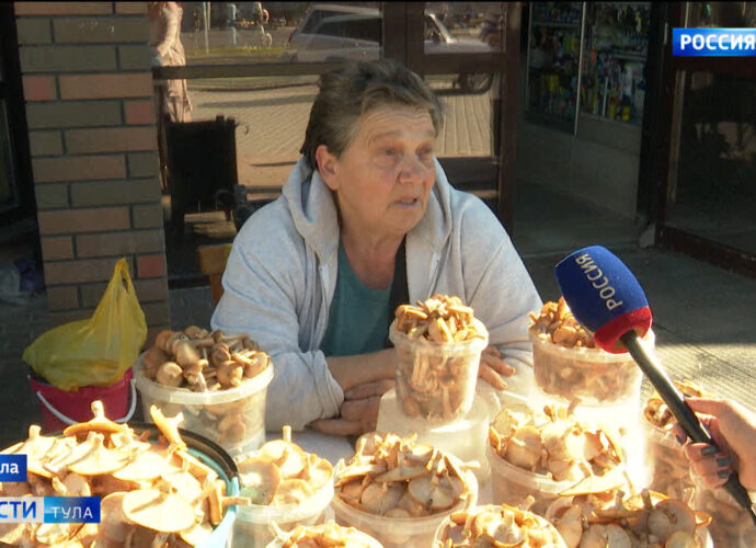Как отличить качественный продукт и избежать отравления в разгар грибного сезона.