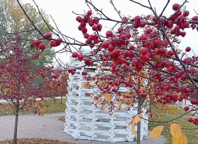 Штормовое предупреждение в Тульской области: усиление ветра до 16 м/с
