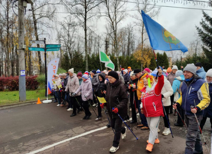 В Туле прошел фестиваль северной ходьбы «Живи по-тульски!»