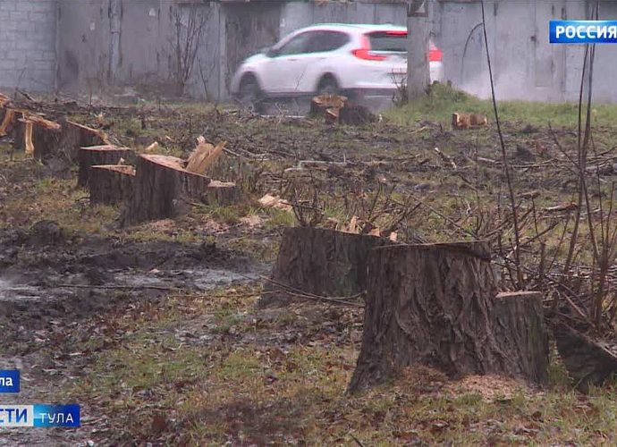 Тополиного пуха жителям улицы Приупской можно больше не ждать