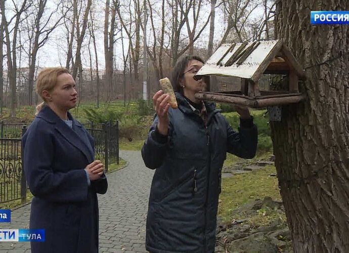 Это чистый яд! Орнитолог проверила, что кладут туляки в кормушки для птиц
