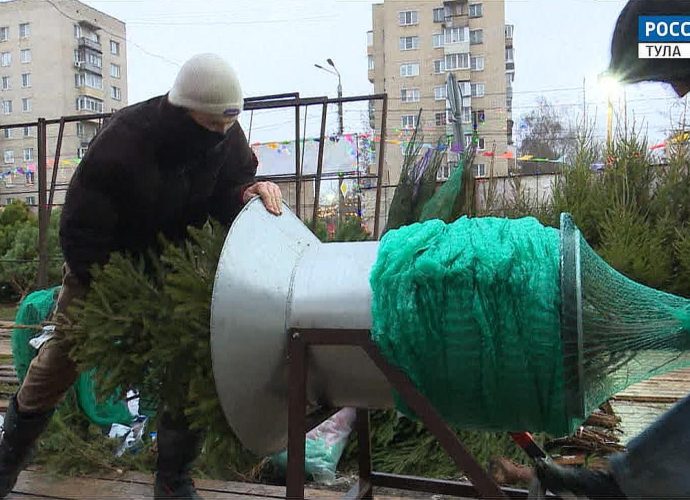 Эфир от 23.12.2025 (21:00) Россия 24 Хвойный гид: как выбрать идеальную новогоднюю ёлку в Туле
