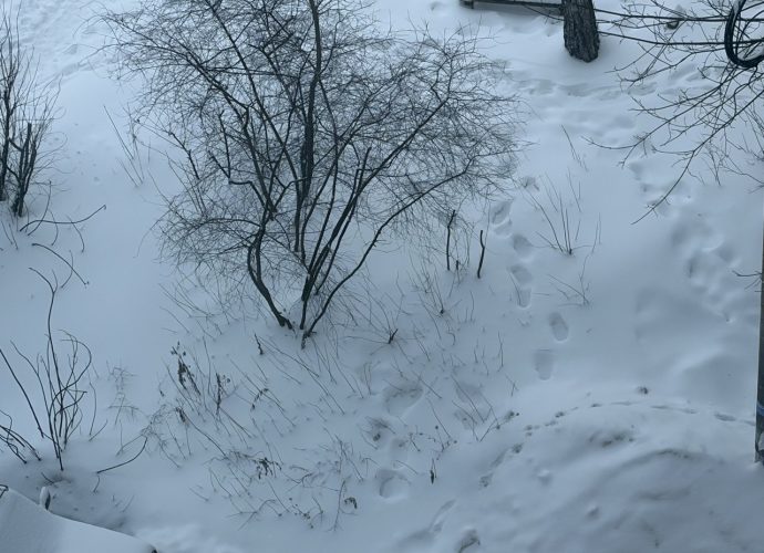 В Тульскую область идет аномальный мороз