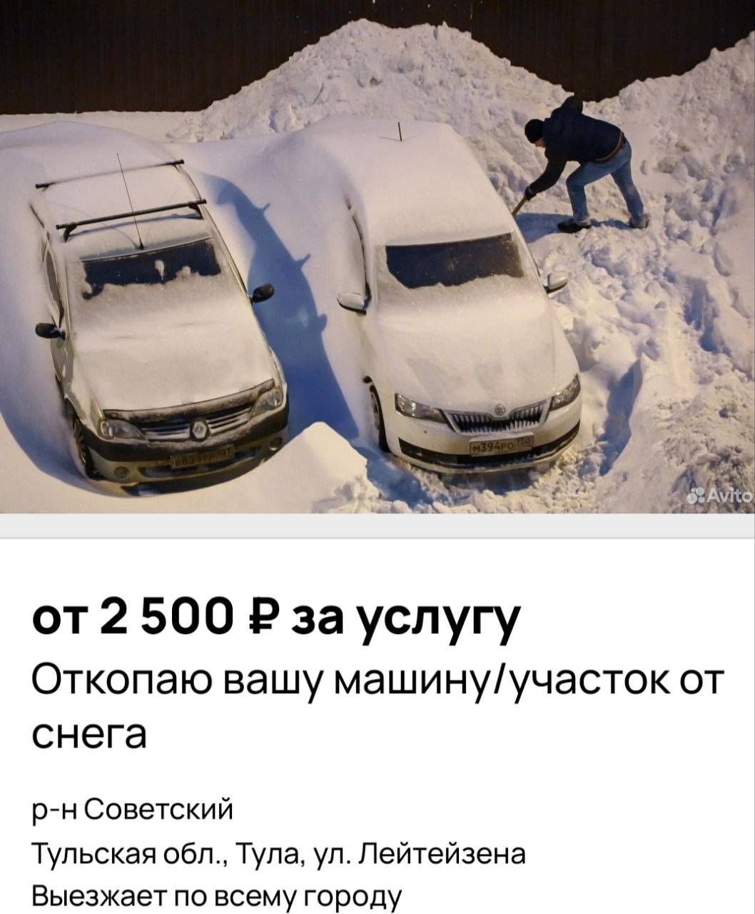 Снегопад в Туле создал новый рынок услуг