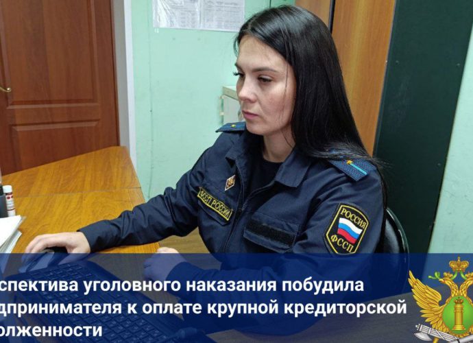 В отделении судебных приставов Зареченского района Тулы находилось исполнительное производство о взыскании с местного бизнесмена кредиторской задолженности на сумму более 9 миллионов рублей.