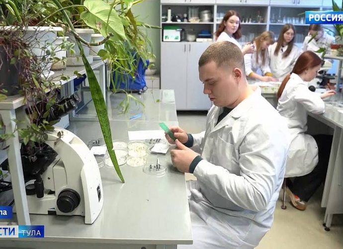 Ученые ТГПУ продолжили опыты с семенами из космоса