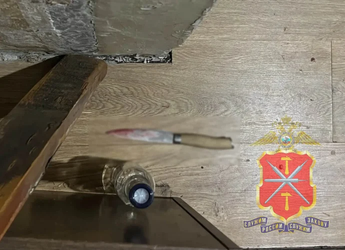 Житель Новомосковска с ножом набросился на сожительницу во время пьяной ссоры