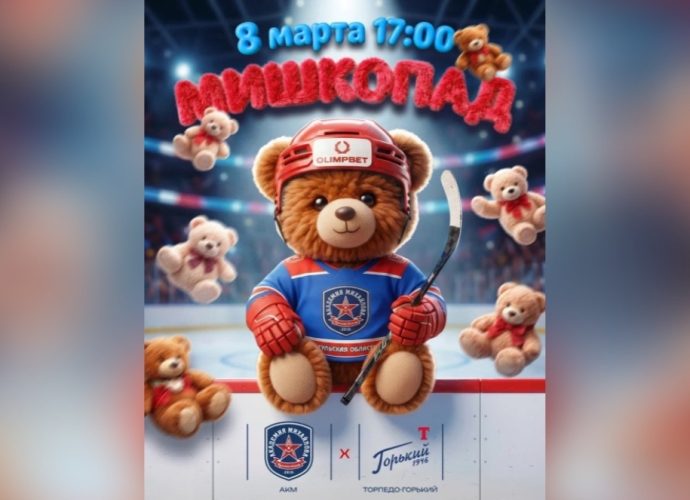 8 марта, в Международный женский день, в Туле состоится благотворительный матч «Мишкопад».