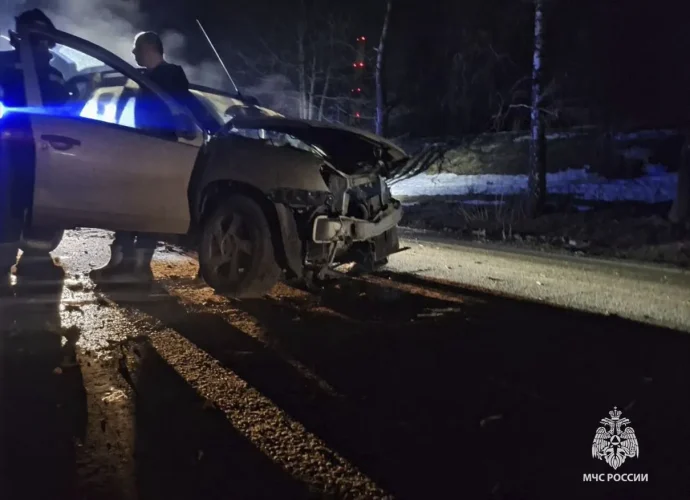 За сутки в Тульской области потушили два пожара