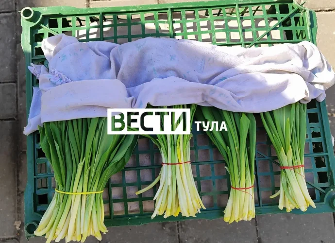 Черемша имеет смертельно опасных двойников