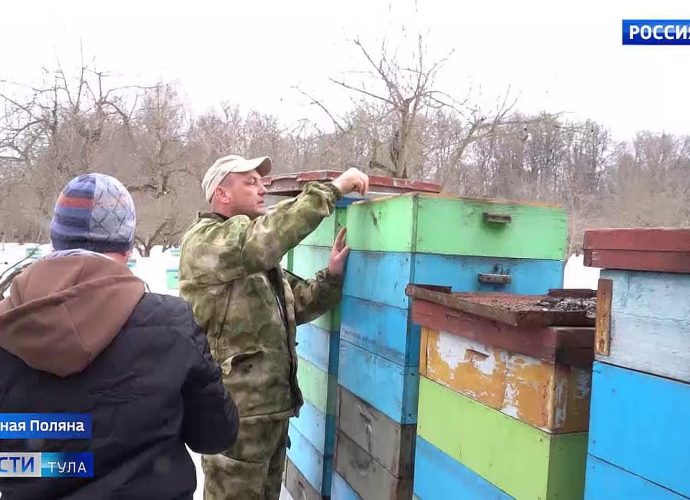 Теплица, пасека и чистые дорожки: как просыпается Ясная Поляна после зимы