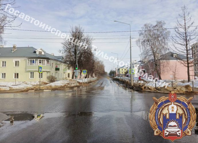 17 марта в 13:45 на улице Трудовые Резервы в Новомосковске произошло ДТП. 